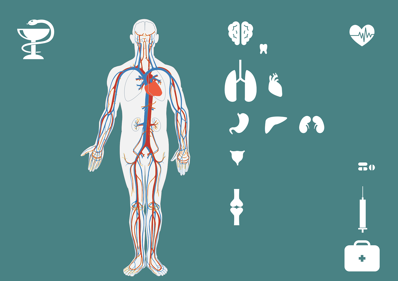 脊柱裂最新治療方法詳解，探索與理解其應(yīng)用與效果